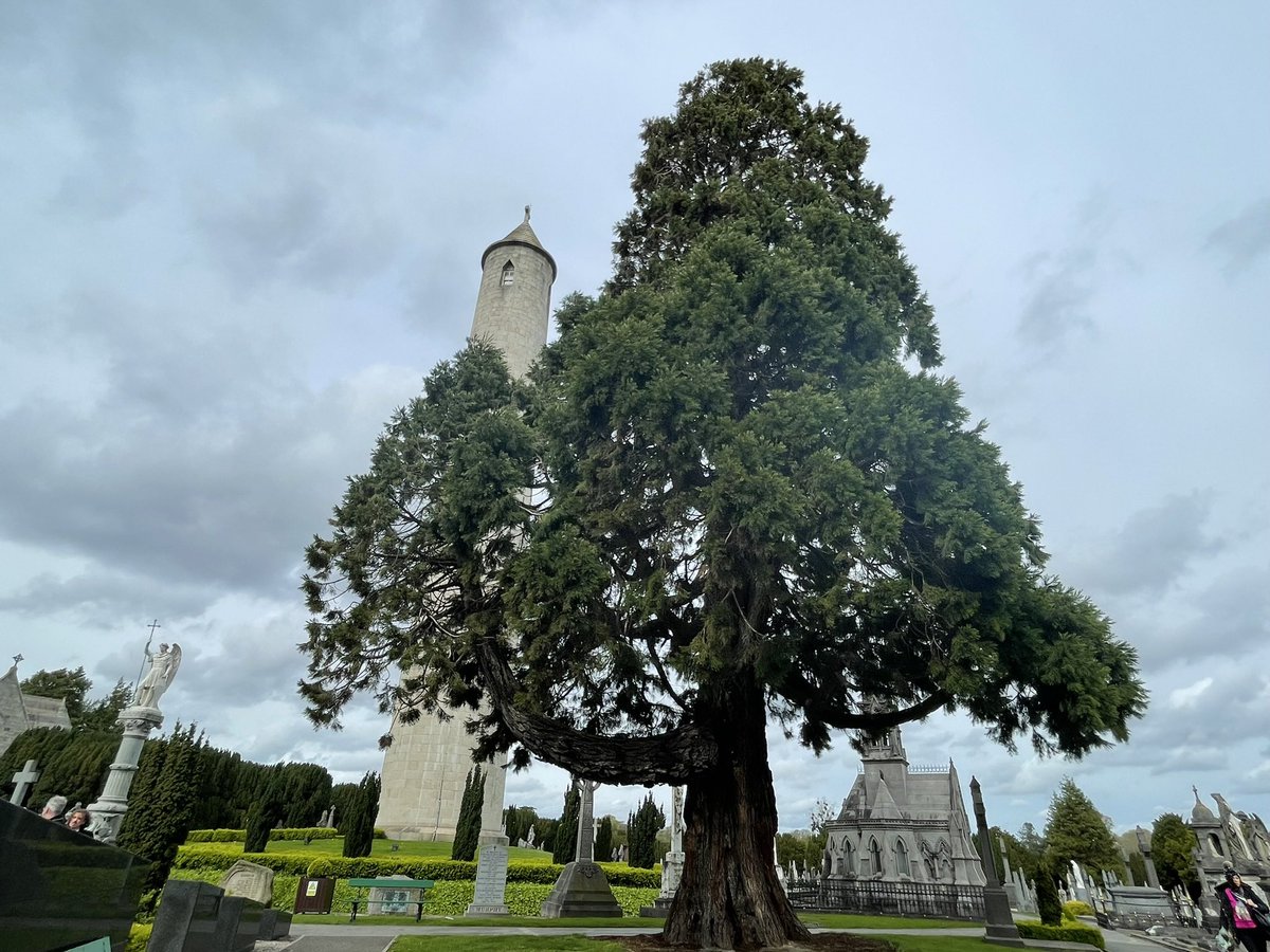 Bespoke Business Events tweet media