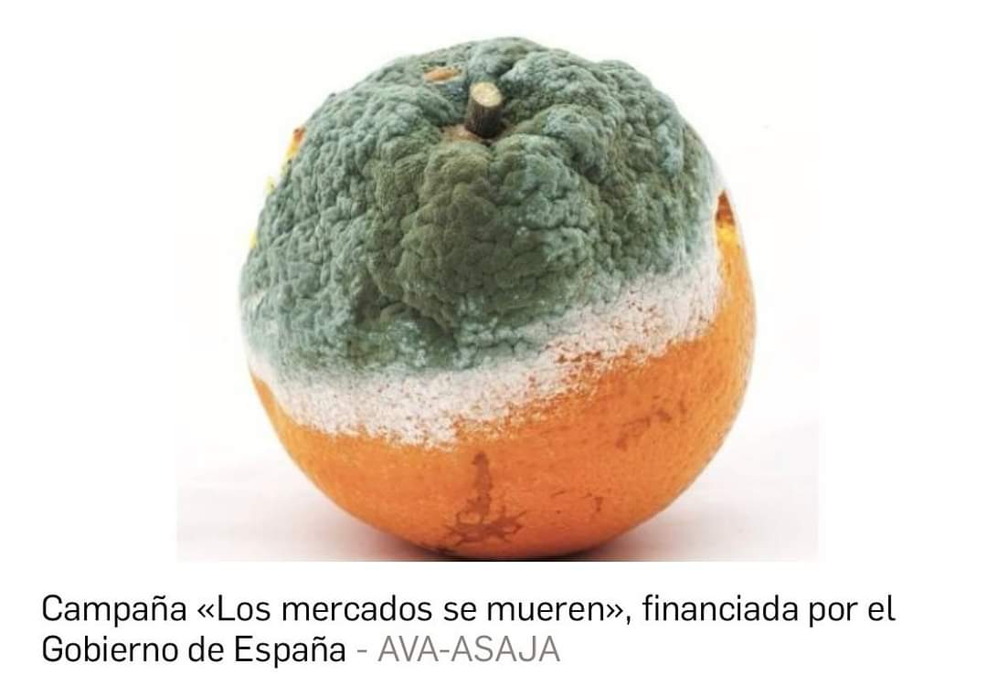 Ciudadanos Comunidad Valenciana tweet media