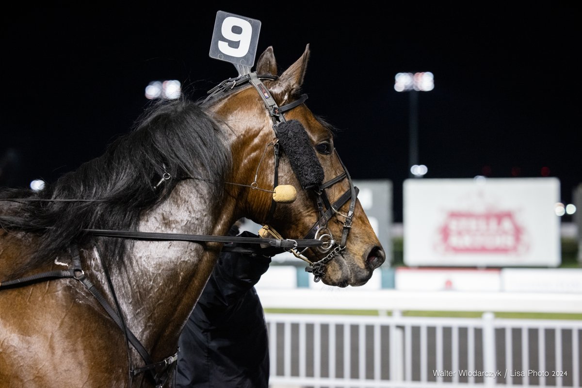 Binge on Yankee, who set a new lifetime mark of 1:49.2 in a 21-1 upset with Dave Miller in one of last Saturday's features at @TheMeadowlands, for Burke Racing. He's back in tonight's 9th...