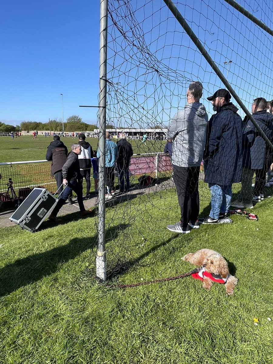 The trophy arrives at @squiresgatefc for @WythenshaweFC. The dog doesn’t care