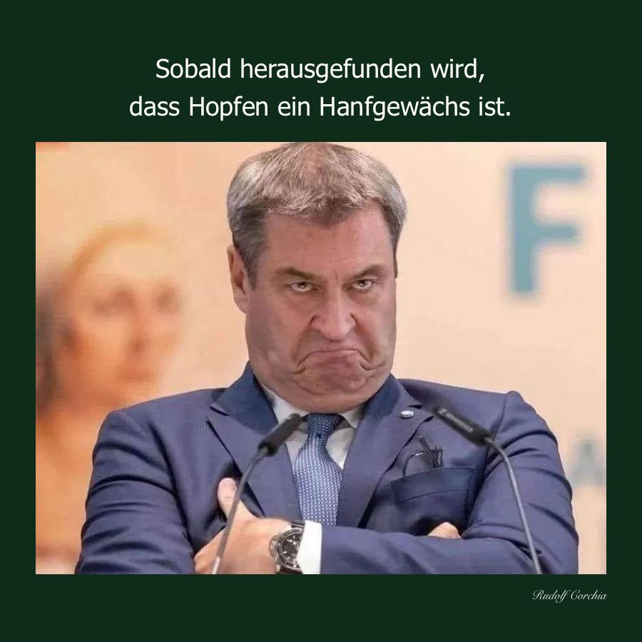 Was nun, Herr #Söder?😜
'#Hopfen (Humulus) ist eine Pflanzengattung innerhalb der Familie der #Hanfgewächse'
#Hanf #Bayern #Cannabisgesetz #Cannabis