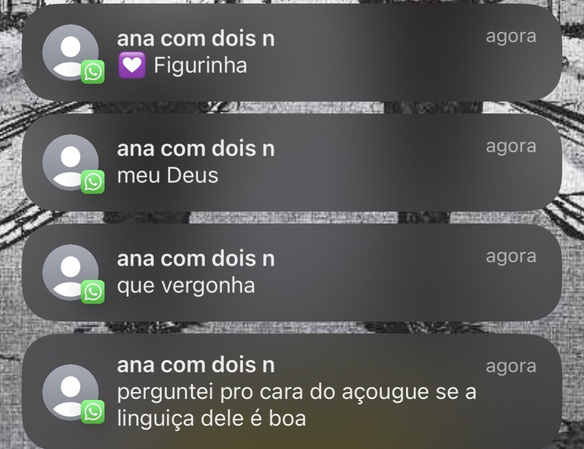 coisas burras ditas de forma inteligente (@burrosgeniais) on Twitter photo 