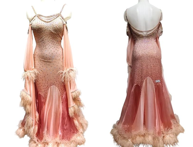 duostyledanse's tweet photo. Robe de danses standard champagne et plumes T36/38 https://t.co/NfPU5ibq41 https://t.co/kevVOURlf4