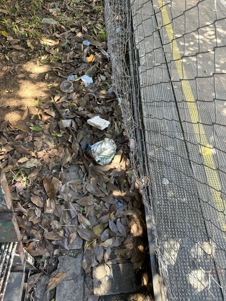 flolamonaca's tweet photo. Tenemos intendencia en fernando de la Mora? O es mundo de nadie? @MunideFernando https://t.co/fODI8eDKgp