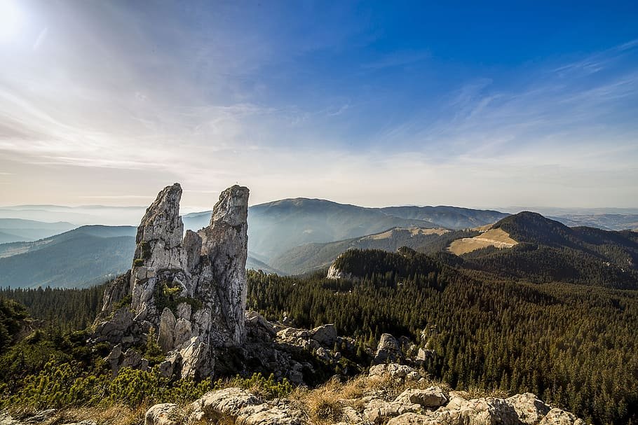 StrobelErich's tweet photo. Die Dokumentatipn ist wirklich sehr schockierend, aber sehr sehenswert. 🤔 Wieviel #Urwald gibt es noch in Europa ? Die Schäden durch Muränenabgänge usw. sind in dieser Dimension wirklich erschreckend..🥹🧐🖐️
#Rumänien #Siebenbürgen 

https://t.co/orvKoSd1Bi… https://t.co/U4EFOOnVK2