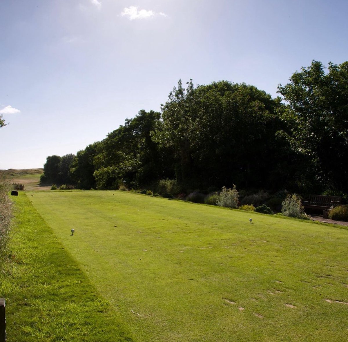 John Mcloughlin tweet media