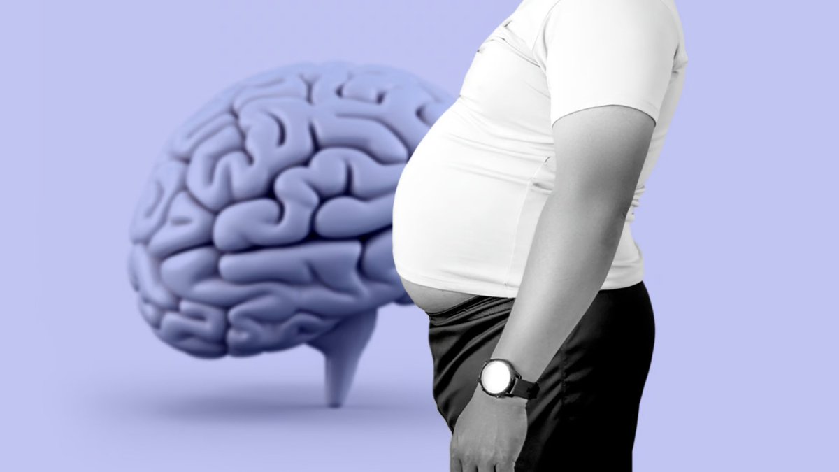 #Obesity-Induced Cognitive Decline: Role of Brain Oxidation and Tocotrienols shibaura-it.ac.jp/en/headline/de… by @shibaura_it via @NeilFlochMD #Alzheimers #dementia #weighloss #health #wellness