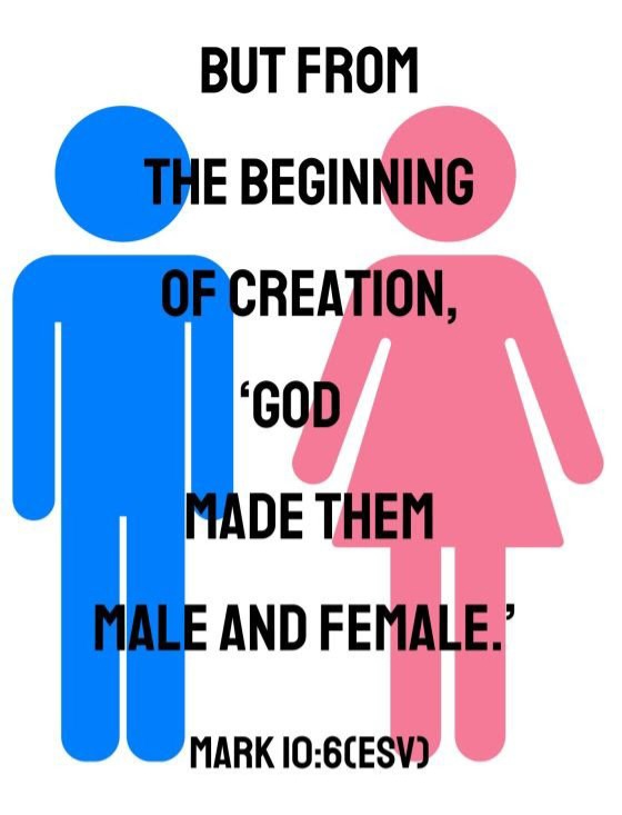 God Created Man and Woman. 
Anything else is an illusion.
