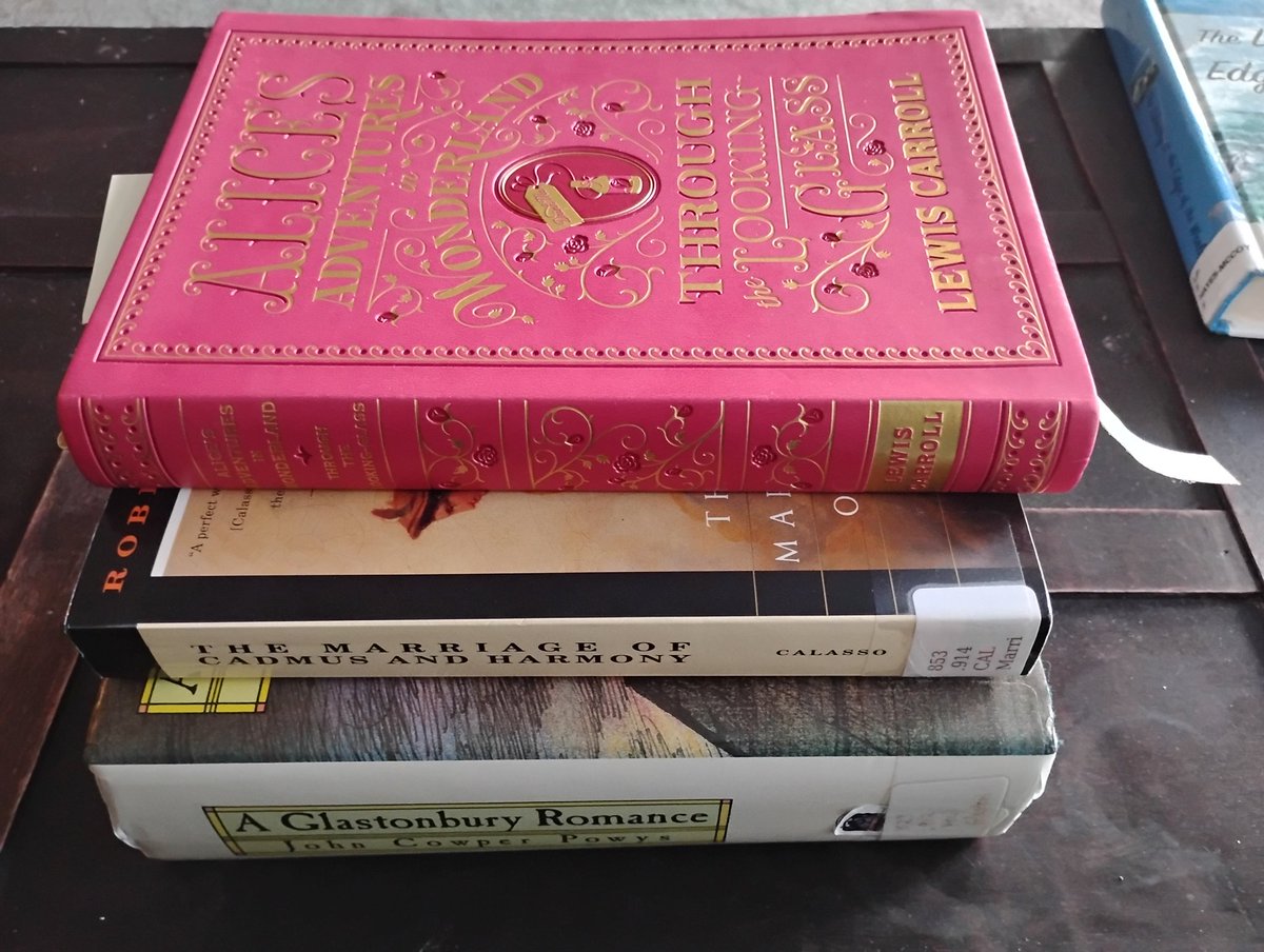 Boze the Library Owl 😴🧙‍♀️ tweet media