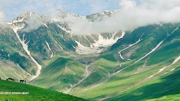 Beloved Pakistan 🇵🇰 🌺 ❤️ The natural beauty of district kohistan KPK province of Pakistan Morru meadows palas valley hidden gem 💎 . Let's come and explore the beauty of morru meadows. #Pakistan #tourism #Destiny