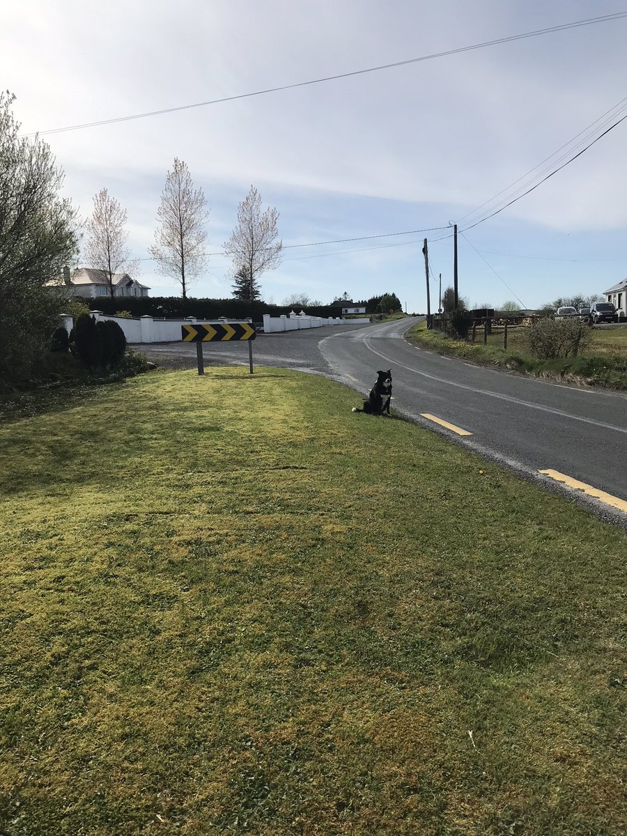 Well I finally finished the lawns. Didn’t get started until late as I had to run an errand to Galway this morning which is a 120 k round trip for me. Now for all the weeding and tidying up to do yet. But great to be out in the lovely sunshine 🌞