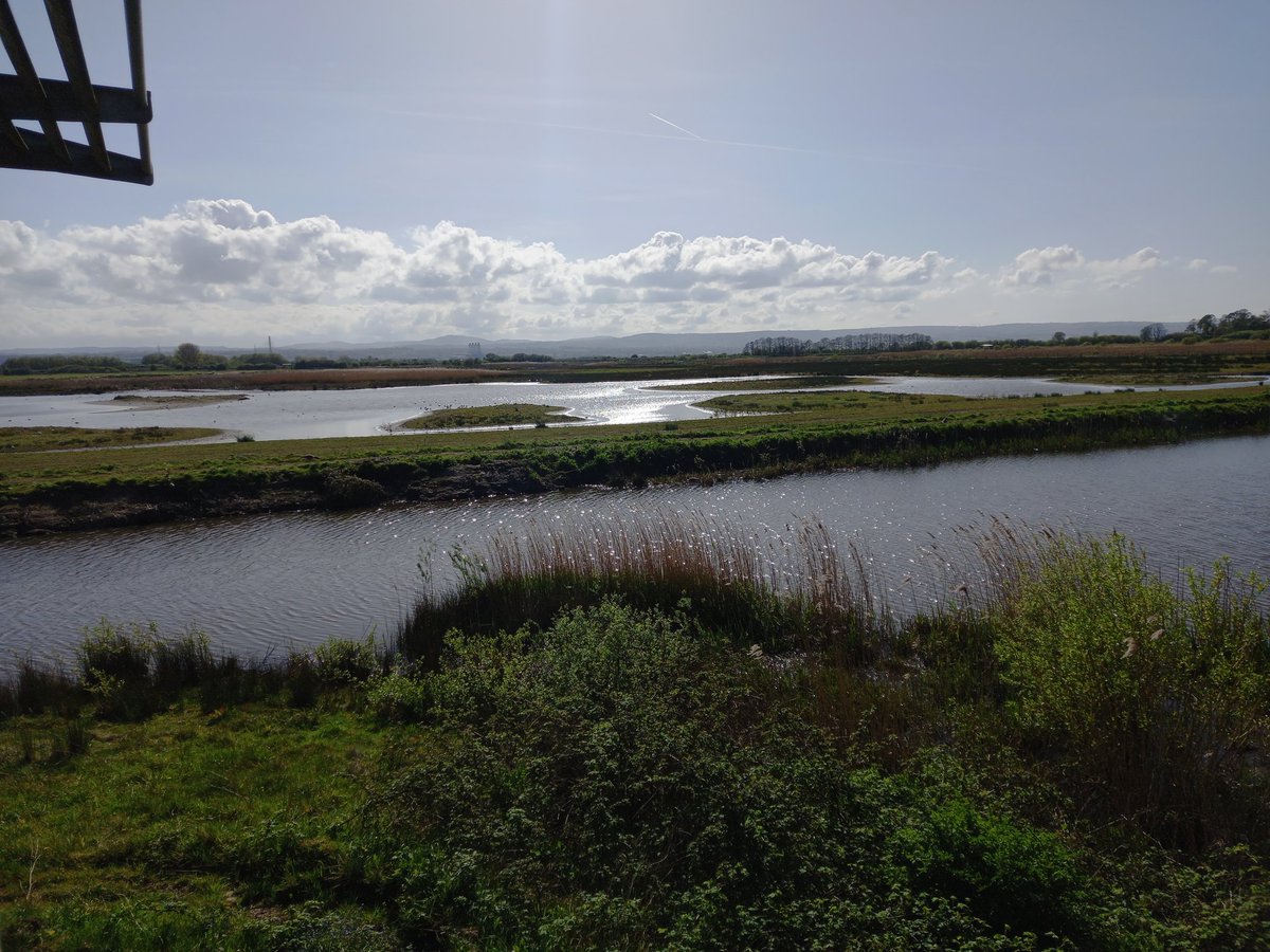 RSPB_BurtonMere tweet picture