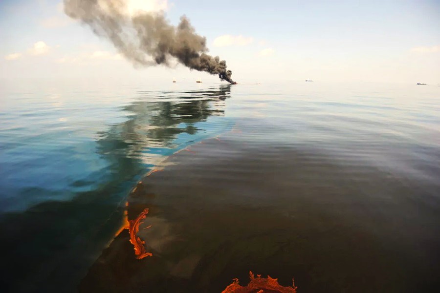 14 years ago today, the #DeepwaterHorizon oil disaster released an estimated 210 million gallons of oil into the Gulf of Mexico. More than 20% of #RicesWhales were lost. The fossil fuel and shipping industries are still profiting at the cost of the Gulf and whales.