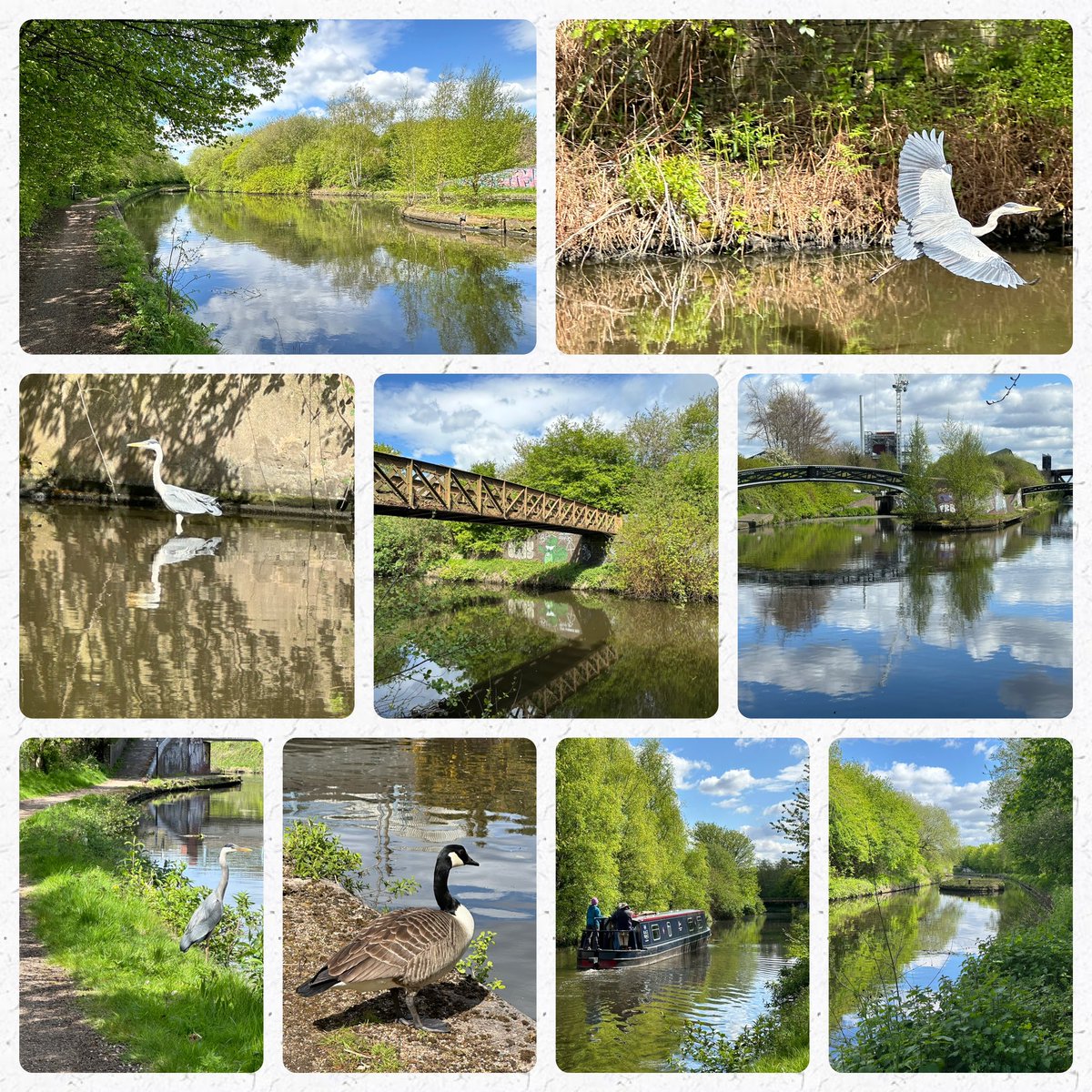 National cycle route 81, nearby Sandwell and Dudley Station ❤️❤️❤️