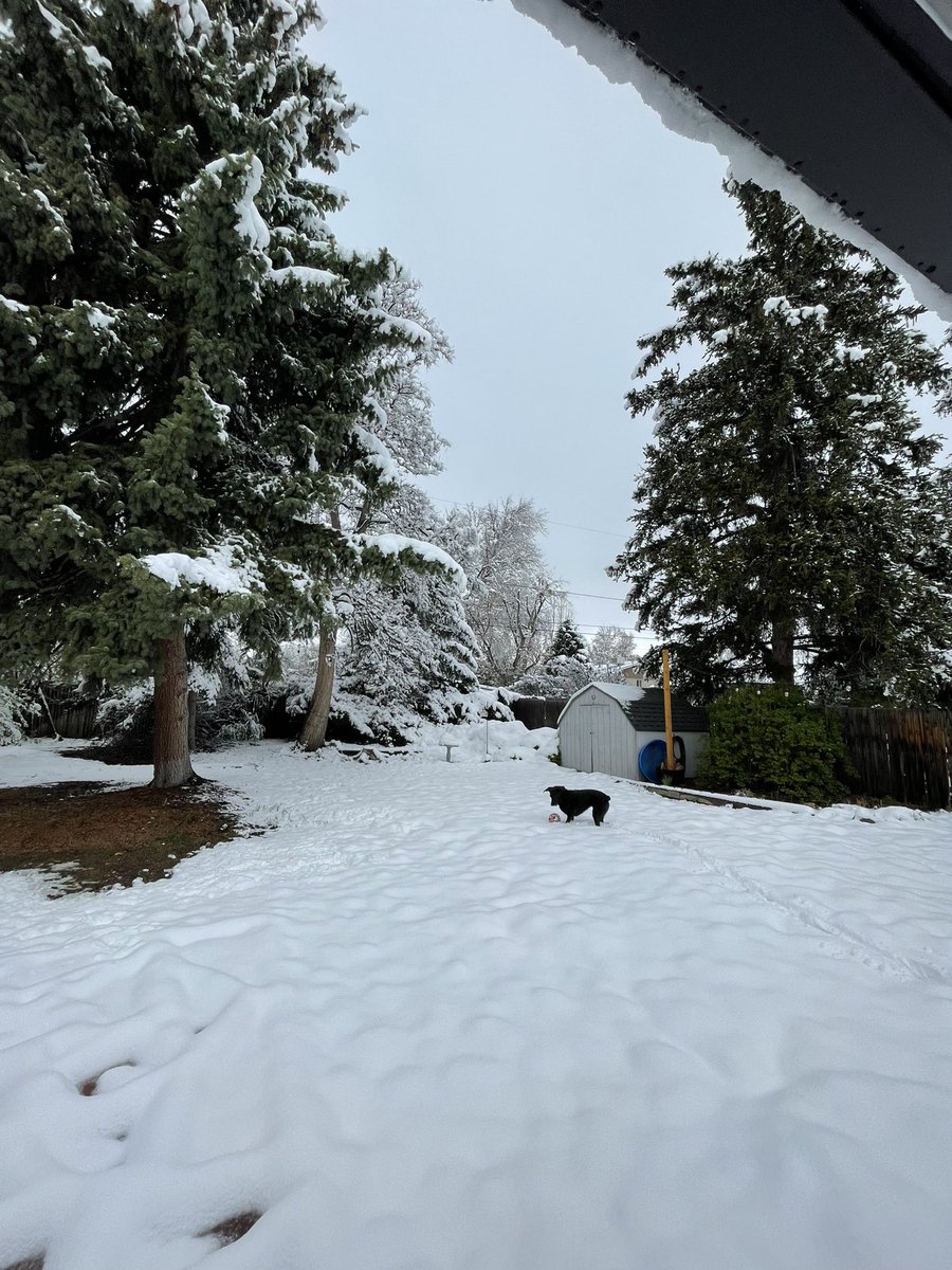 AlexRoseNews's tweet photo. @charles_ewing19 And it’ll all melt by tomorrow ❄️ https://t.co/PtzRXDnEvJ