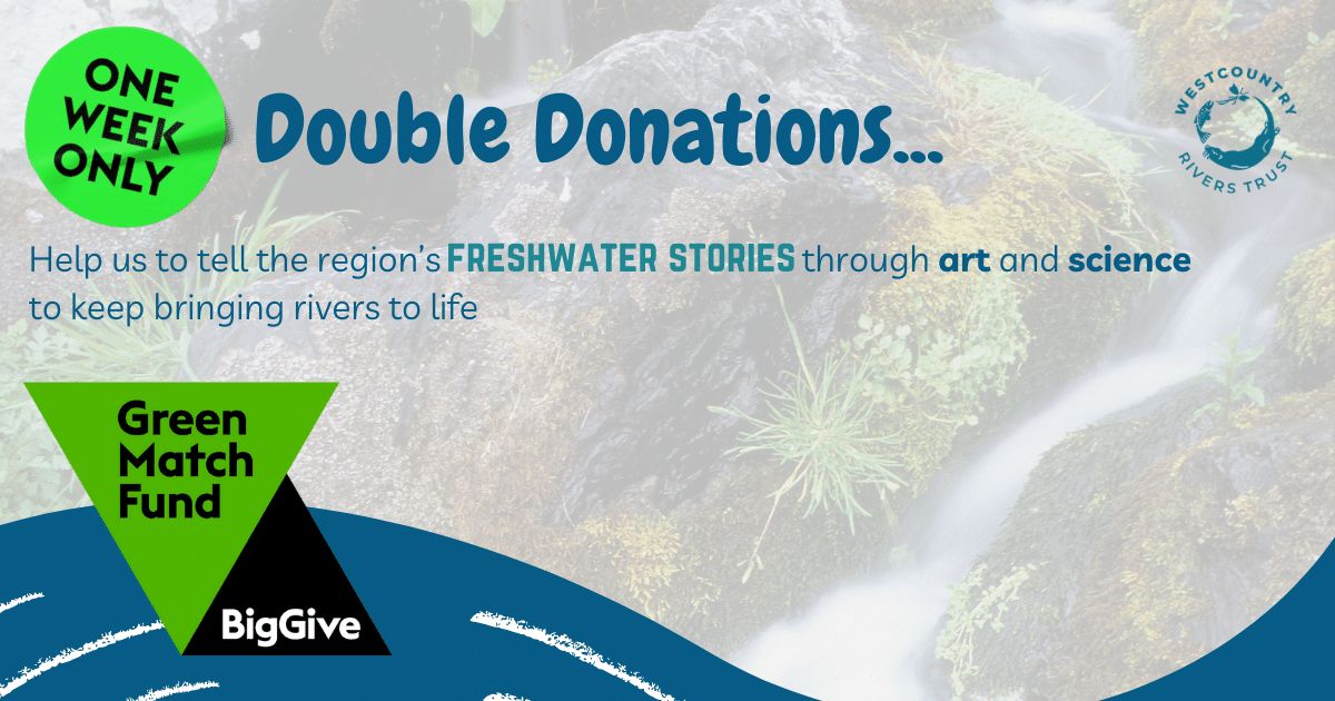 Huge thanks to @Skentelbery & @BBCCornwall for chatting with us yesterday about our @BigGive #GreenMatchFund Listen again from 16:22 on timeline at bbc.co.uk/sounds/play/p0… to find out how you can #DoubleDonations & support your rivers through art & science #WRT30Years