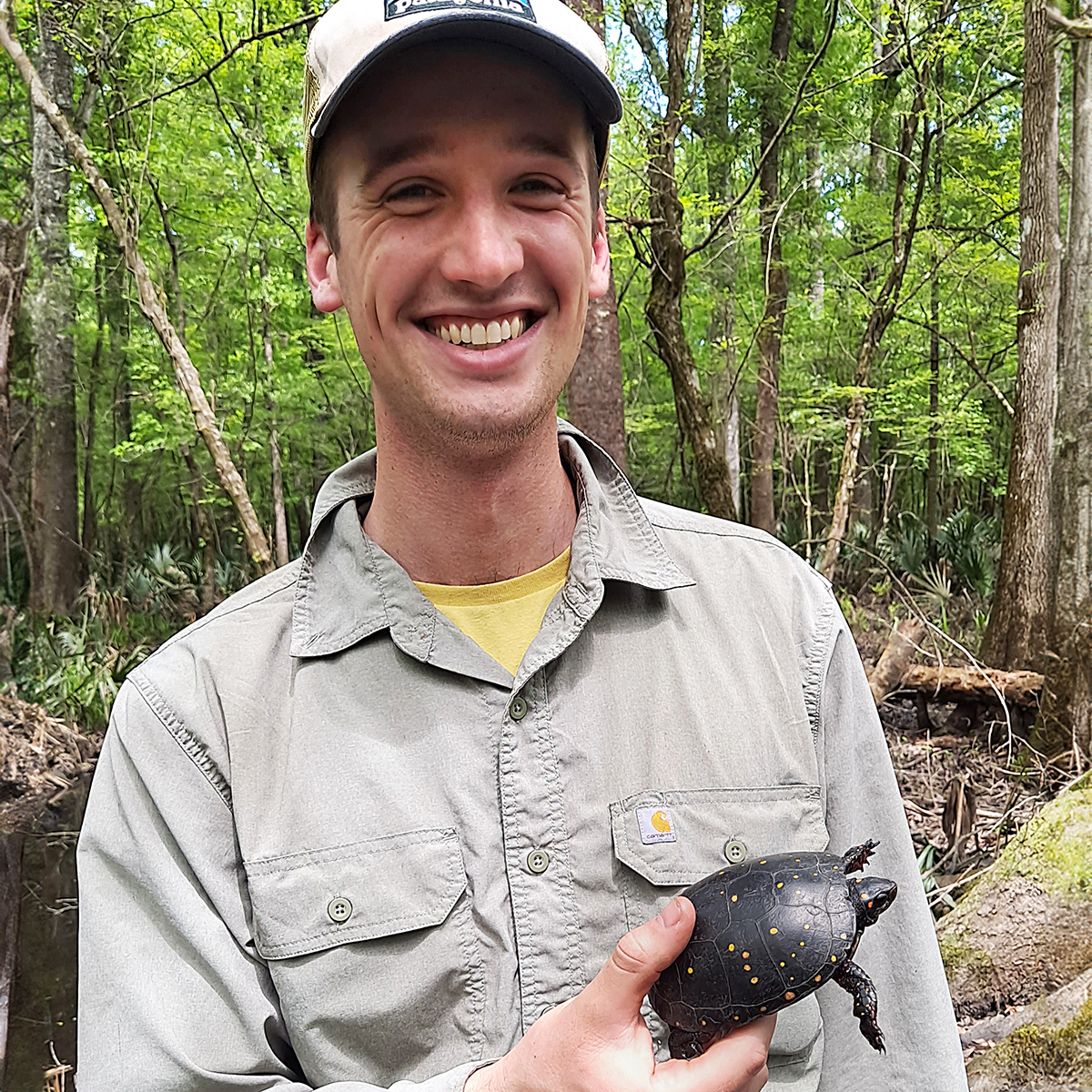 Introducing Alex Greenwood, another new Spotted Turtle Technician! Originally from Pennsylvania, Alex completed a master’s degree in Biology at East Stroudsburg University. His thesis work focused on the Eastern Hog-nosed Snake... Read more about Alex: oriannesociety.org/staff/