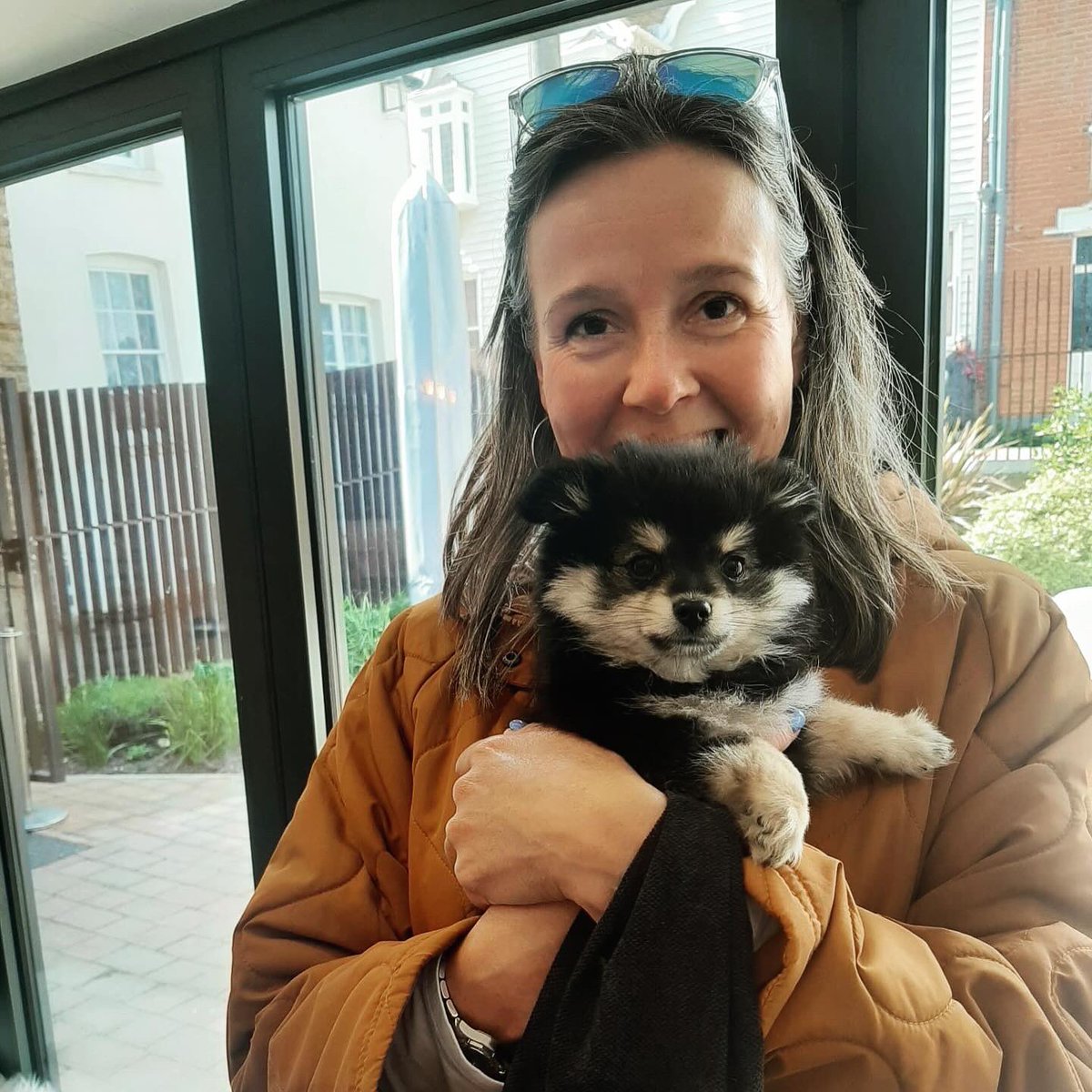 Got over my level 8 hangover (the one that requires dry toast) in time to meet the smallest dog you ever did see, who lives very happily with @Lornamedia #GoodNewsSaturday