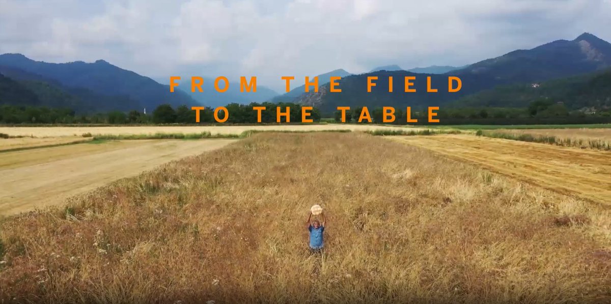 🌟🌍🚀Our 3rd captivating video from an AURORA #farm, part of @eu_radiant project, showcasing revival of traditional crops & sustainable #agrobiodiversity in Europe. 🌱Last week: Portugal & Scotland; this week: Italy!🌾 🎥Watch here: bit.ly/Papaverorosso @eu_radiant