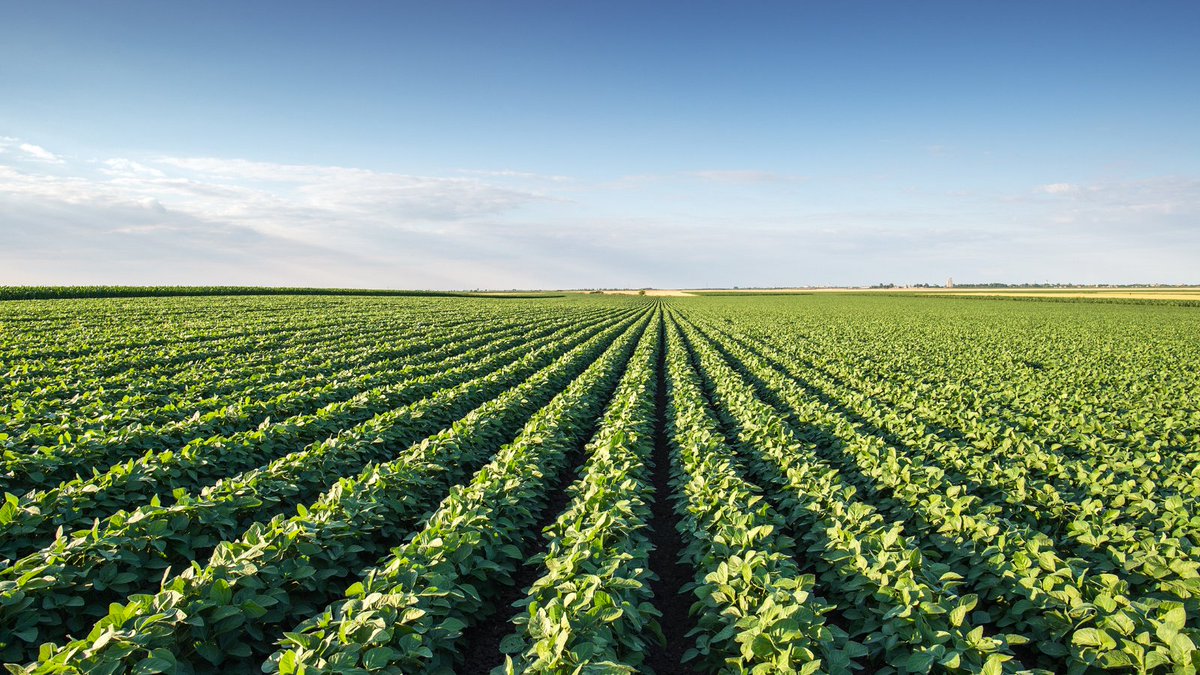 If you plan to apply dicamba formulations this growing season, make sure you sign up for the required mandatory training. Find more info in eBean: ow.ly/jC2R50Rk6yJ