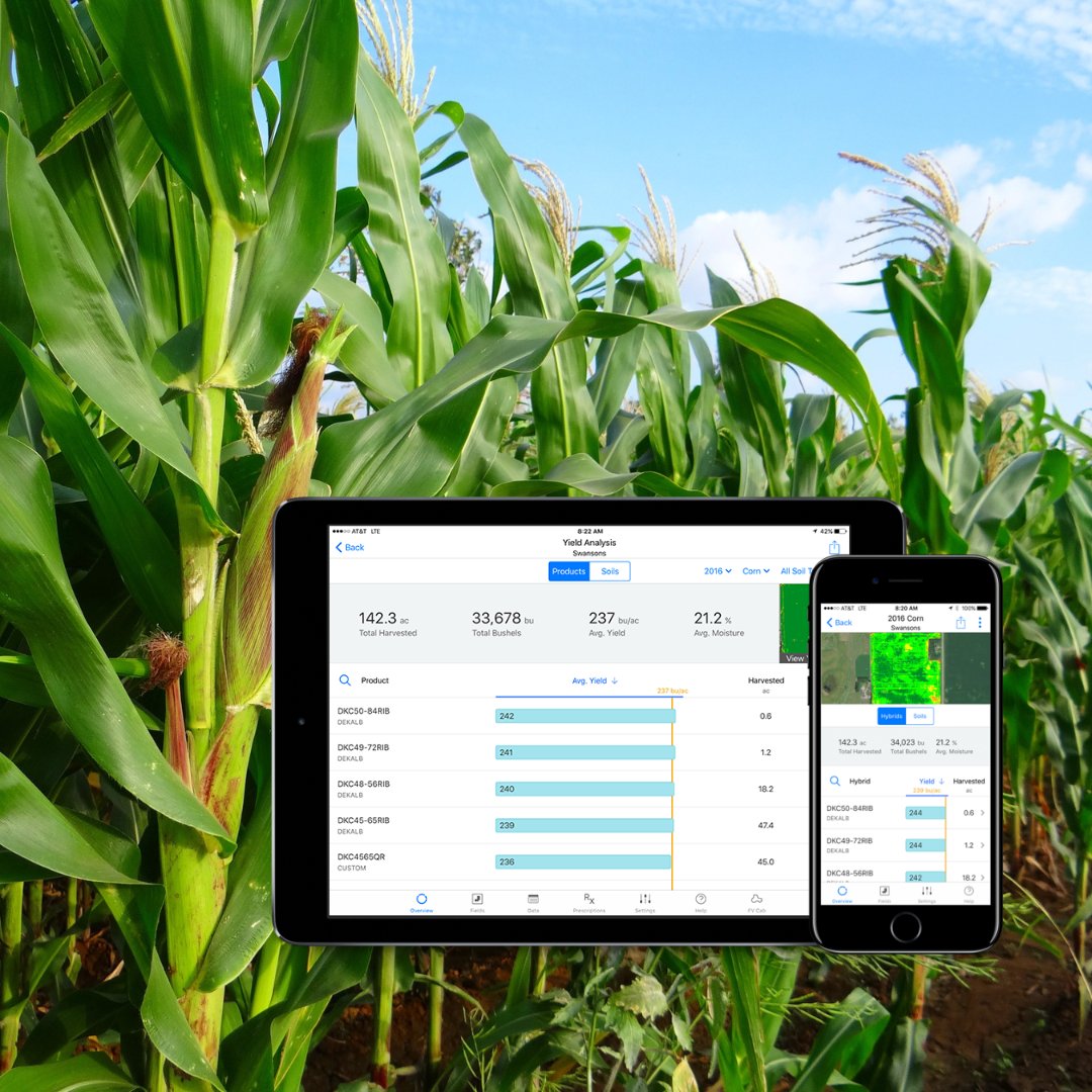 🛰 ¡Digitaliza las operaciones del cultivo de #maiz con FieldView! 💡 FieldView te permite recopilar, analizar y gestionar todo tipo de datos de tus cultivos, ayudándote en la toma de decisiones. ¡Únete a la revolución de la agricultura digital! 👨‍🌾 climatefieldview.es