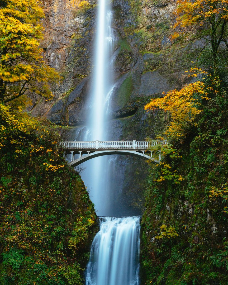 Multnomah Falls, Oregon’s tallest waterfall, is fed by rainwater and snowmelt. The steady stream runs year-round, so it's great to visit at any time of year.

#Holiday #NottinghamTravelAgent #HolidaysinAmerica #MultnomahFalls