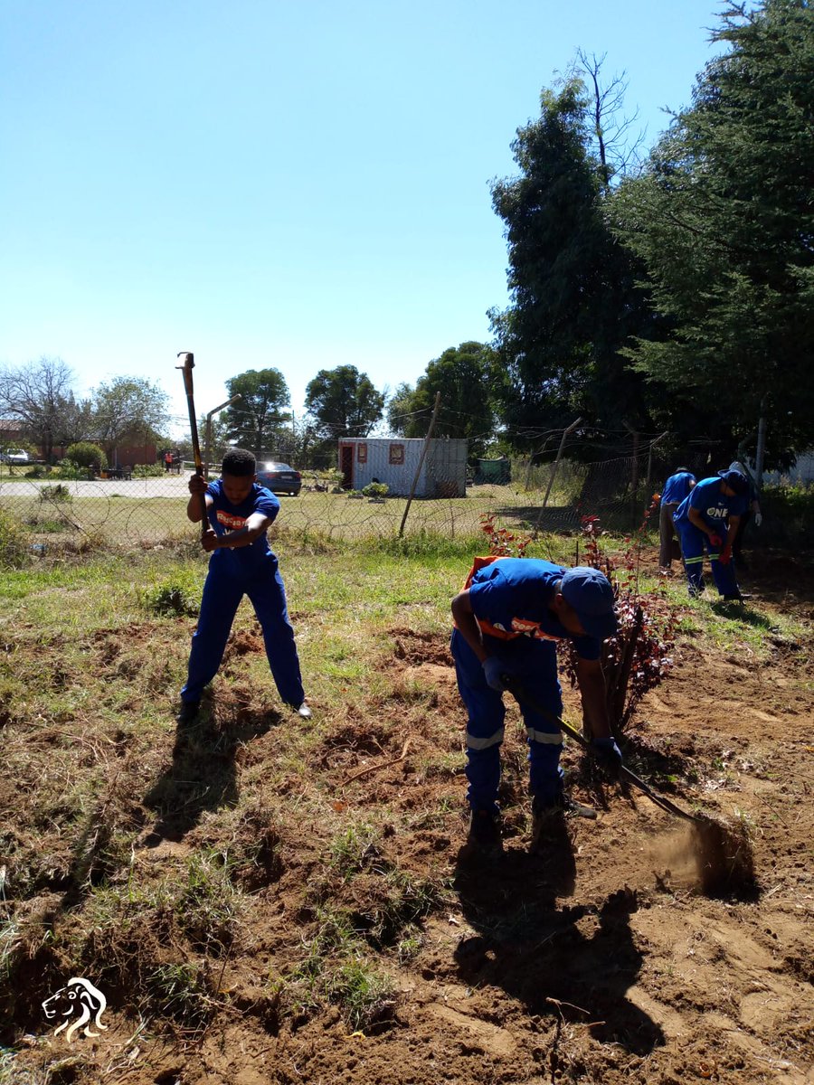 🥬 A part of our rescue plan is to enable people to rescue themselves from poverty and inequality. Our team in Rand West constituency donated vegetable garden material to NG Kerk in Toekomsrus and assisted in preparing a vegetable patch. #RescueSA #RescueGP #VoteDA