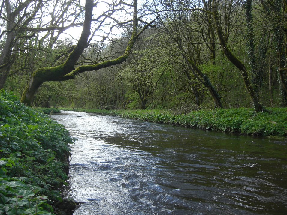 River Wye near Buxton, Derbyshire