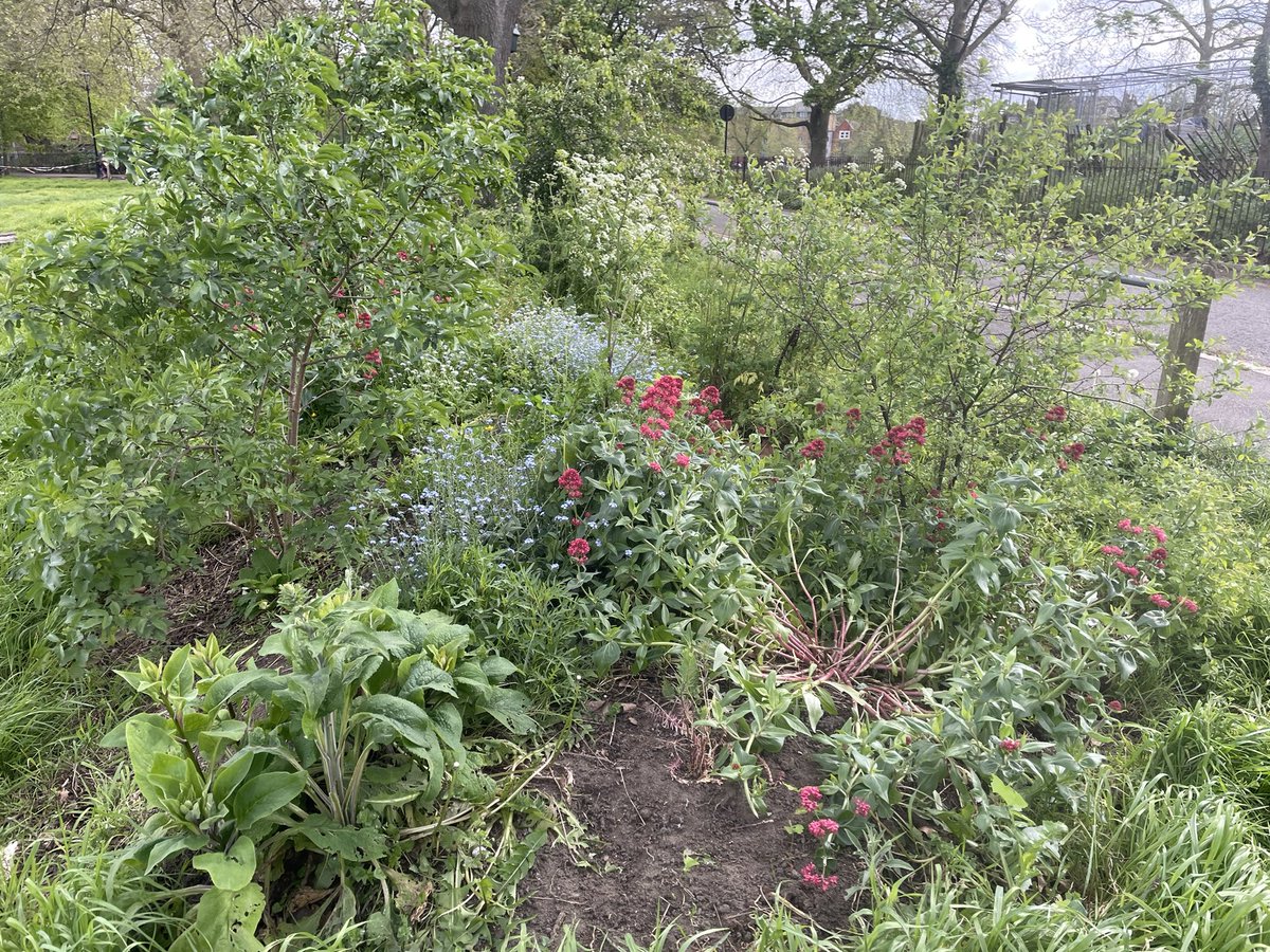 CCMAC Colour Your Common tweet media