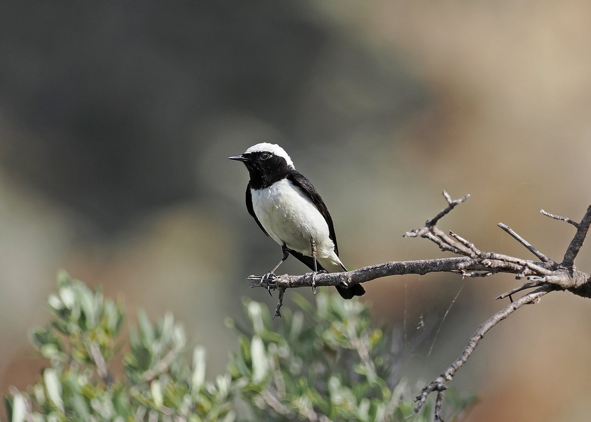 Gary Howard tweet media