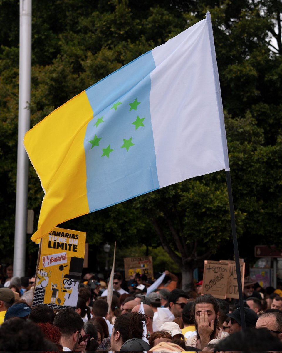 EnvidiaSana tweet media