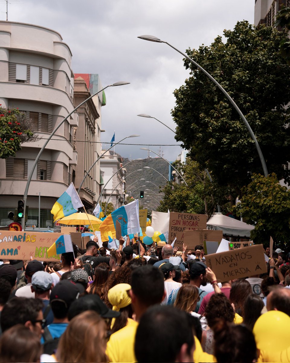 EnvidiaSana tweet media