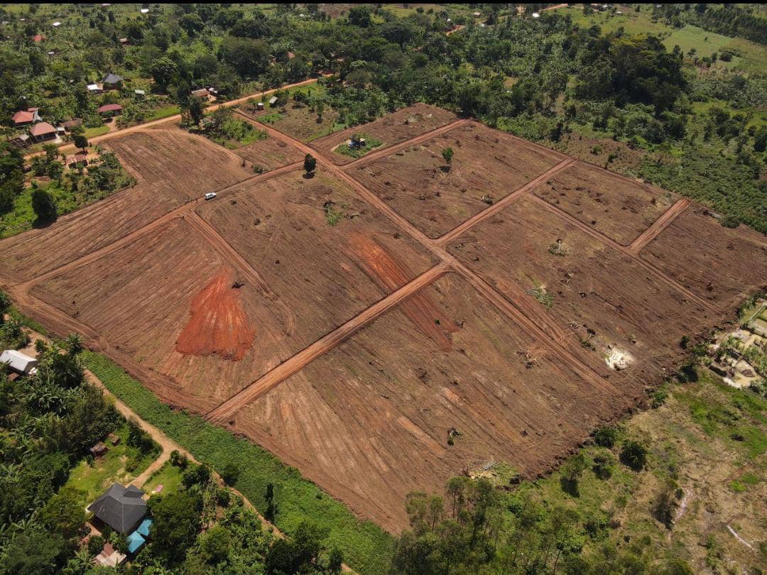 cryptopandx's tweet photo. PLOTS ON SALE

In Wakiso_Bakka, along Hoima road, 3.5km from the main road.

Each 50*100ft at UGX 18m

With ready land titles

Make first deposit and pay the balance in monthly installments.

Call/WhatsApp @mugabi_praise 0706147006/0783821918 https://t.co/PrtUOIfpqG