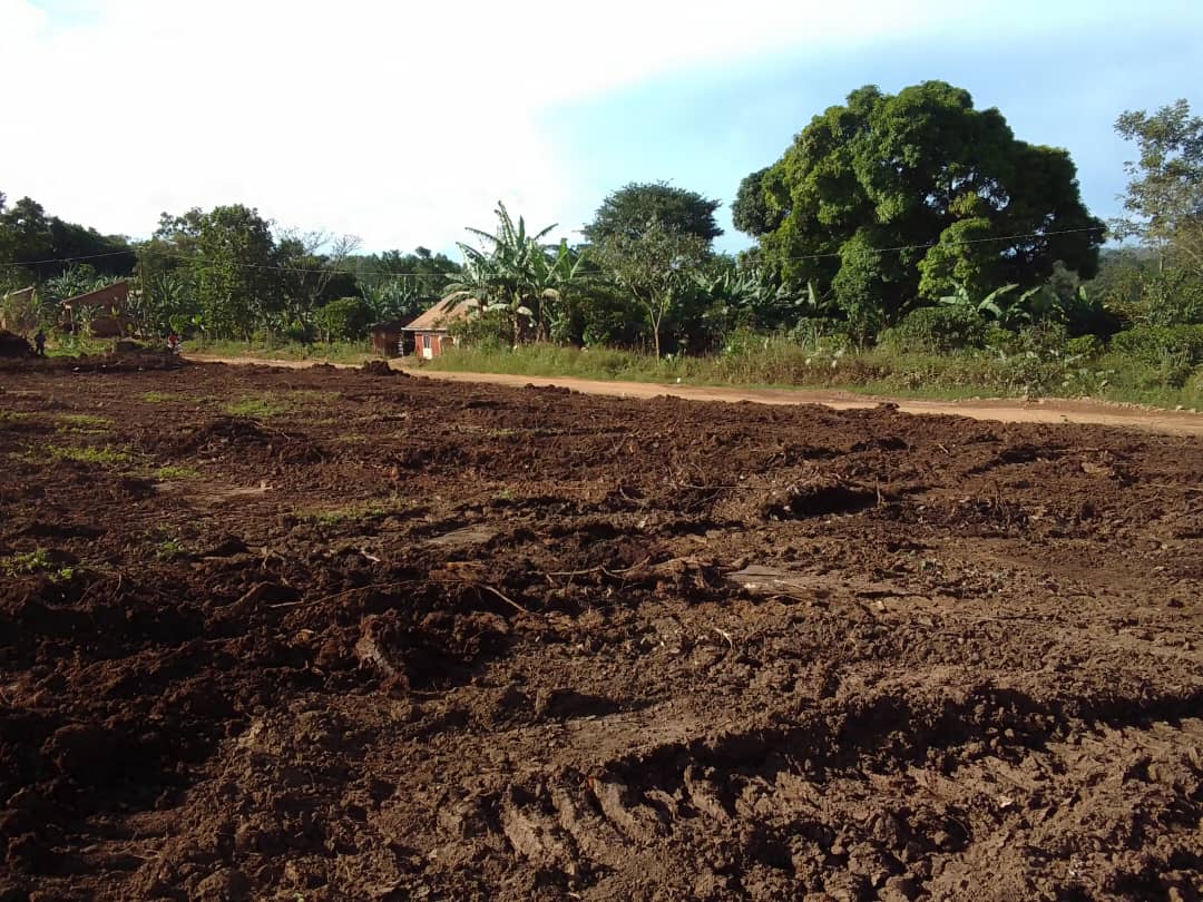 cryptopandx's tweet photo. PLOTS ON SALE

In Wakiso_Bakka, along Hoima road, 3.5km from the main road.

Each 50*100ft at UGX 18m

With ready land titles

Make first deposit and pay the balance in monthly installments.

Call/WhatsApp @mugabi_praise 0706147006/0783821918 https://t.co/PrtUOIfpqG