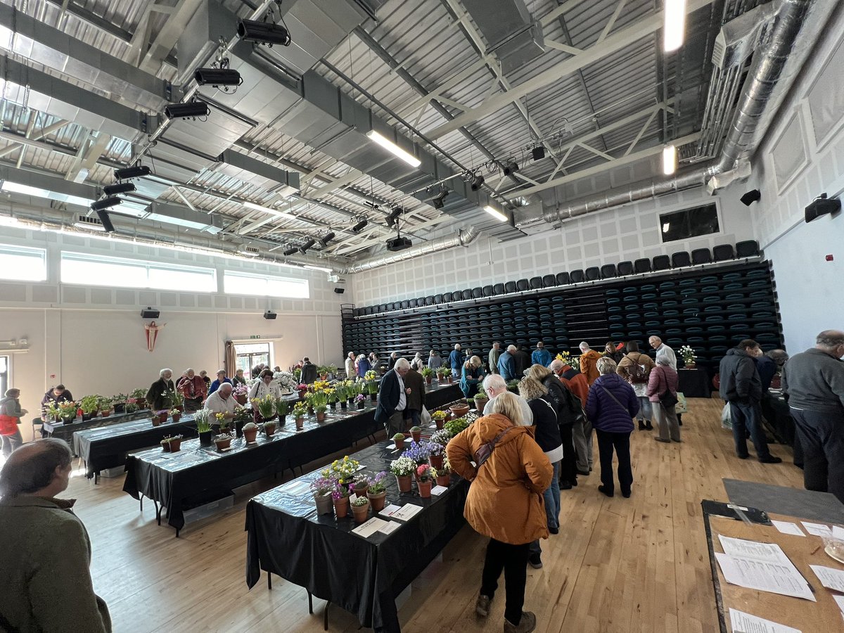 iplantsman's tweet photo. Great trip out to the @ScottishRockGC #Perth show. Some amazing #plants on show and great #scottish #nurseries too. That #Pleione in the log is absolutely glorious! Also loved this dainty #Cassiope ‘Edinburgh’ https://t.co/R4AFuOFsEF