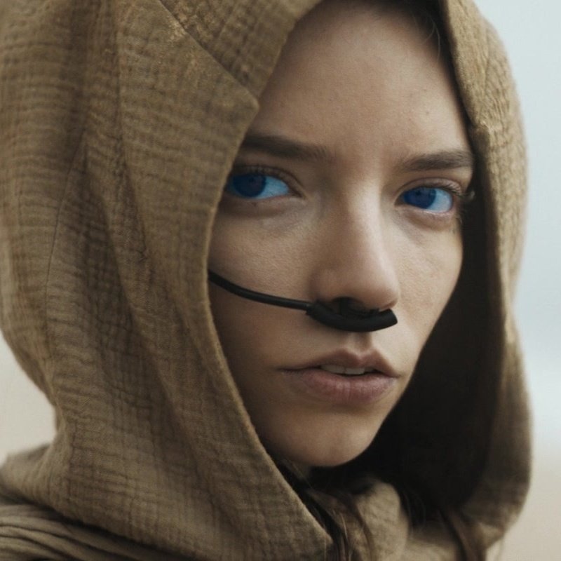 anyafolders's tweet photo. anya taylor-joy as alia atreides https://t.co/9GmAwyQvuh