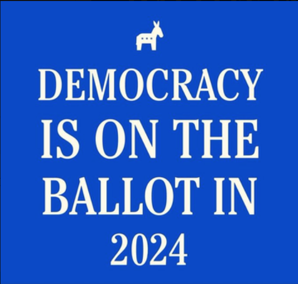 #DemVoice1 #DemsUnited Thank you to my Blue Voter friend and yours, @BjorkmanJudy for this morning's plain and simple thought...and why we MUST vote for #BidenHarris2024! #DemocracyInDanger