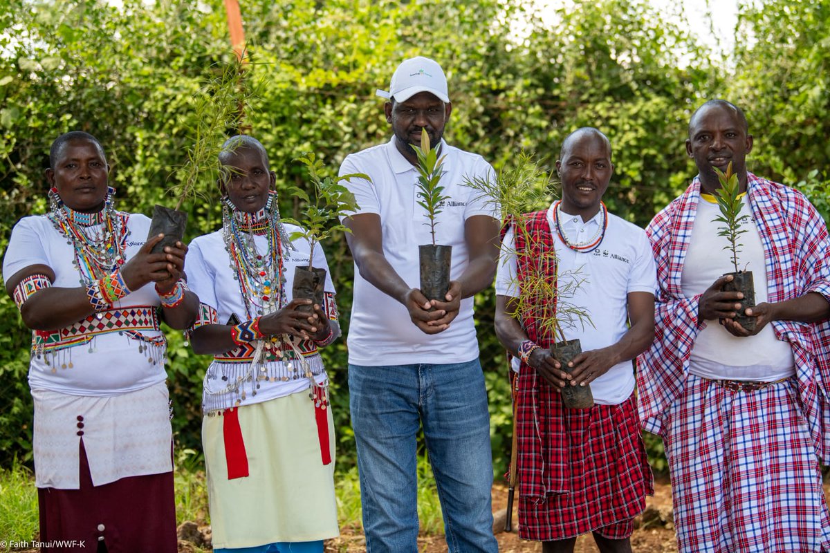 CAREinKenya's tweet photo. #BreakingGround: The CARE-WWF Alliance's Sowing Change Initiative is a game-changer, empowering women's leadership to tackle climate challenges and restore landscapes. #SowingChange #WomenLeadership #ClimateAction @WWF_Kenya https://t.co/65o4dAYTxV