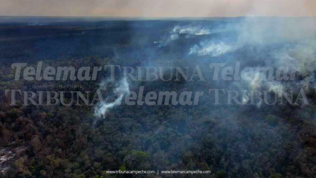 BRIGADISTAS LUCHAN CONTRA EL INCENDIO FORESTAL EN CHUN EK, #HOPELCHÉN; REPORTAN UN AVANCE DEL 35% Han trabajado arduamente en la apertura, rehabilitación y vigilancia de brechas cortafuego, cubriendo más de 27 kilómetros en total. Nota completa: lc.cx/r5EwKQ