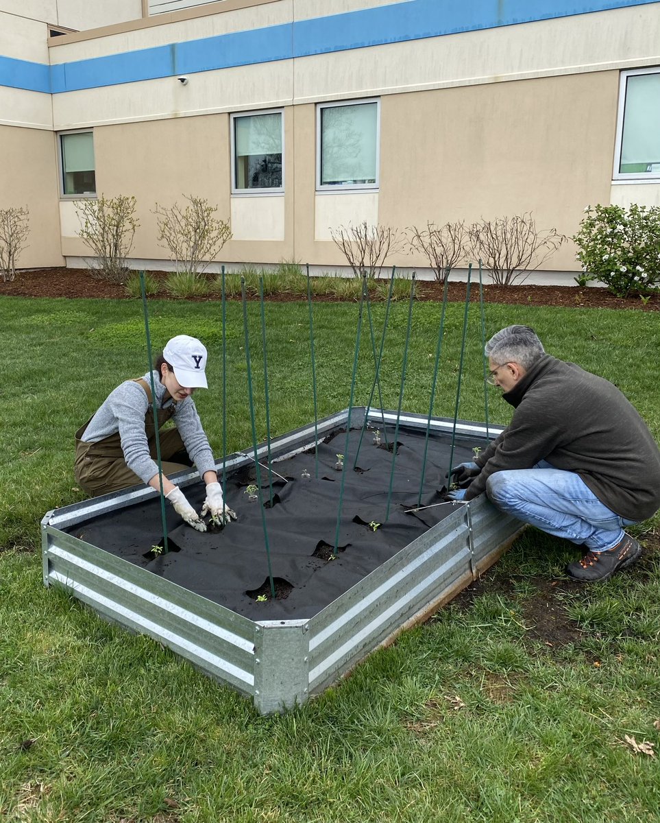 Emily Fishman tweet media