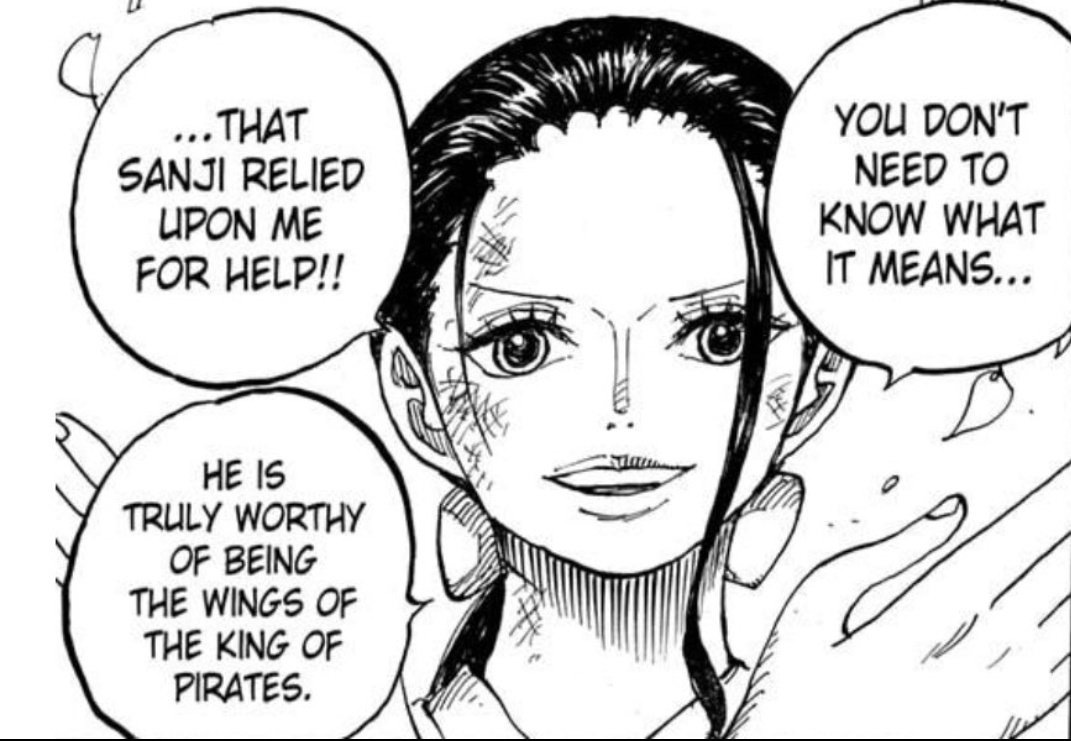 Idk who needs to hear this but only Sanji is the wings of the pirate king not Zoro