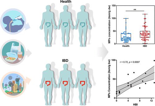 ❗️More worrisome data on microplastics (MP). People w/ inflammatory bowel disease (IBD) had more MP in stool than healthy ppl, & higher MP concentrations were assoc w/ more severe IBD. (IBD is also a risk factor for #coloncancer 💡) #MedTwitter #crcsm pubs.acs.org/doi/10.1021/ac…