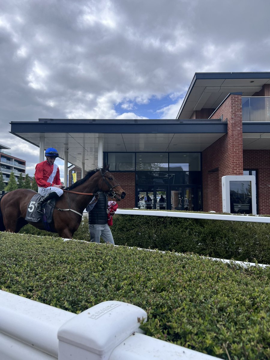 adele82306097's tweet image. Great day @NewburyRacing lovely to meet you and chat @Dawnesme