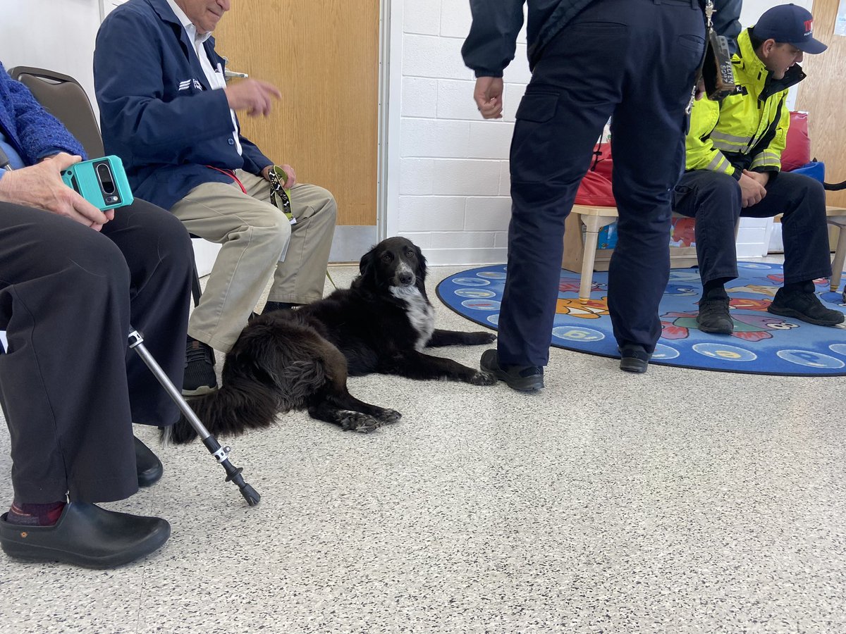 @NASCARChicago @chicCPA Therapy doggos at Fry Family Y in Naperville! 😍😍 🐶🐕🦮🐕‍🦺🐾 #healthykidsday