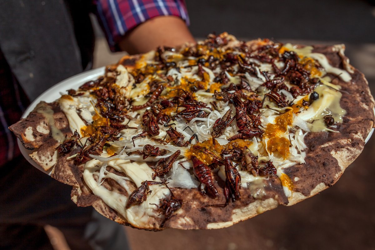 #AlAire <a href="/enfinw969/">enfinw</a>  | Arranca el tour por los estados de la República Mexicana: Recetas oaxaqueñas 

Las tlayudas 

Escucha a  @MaryCarmenLara_  y <a href="/LopezElizondo11/">Iván “Pollo” Elizondo</a>
Por el 96.9 FM y 900 AM o #EnVivo bit.ly/3DUHpws