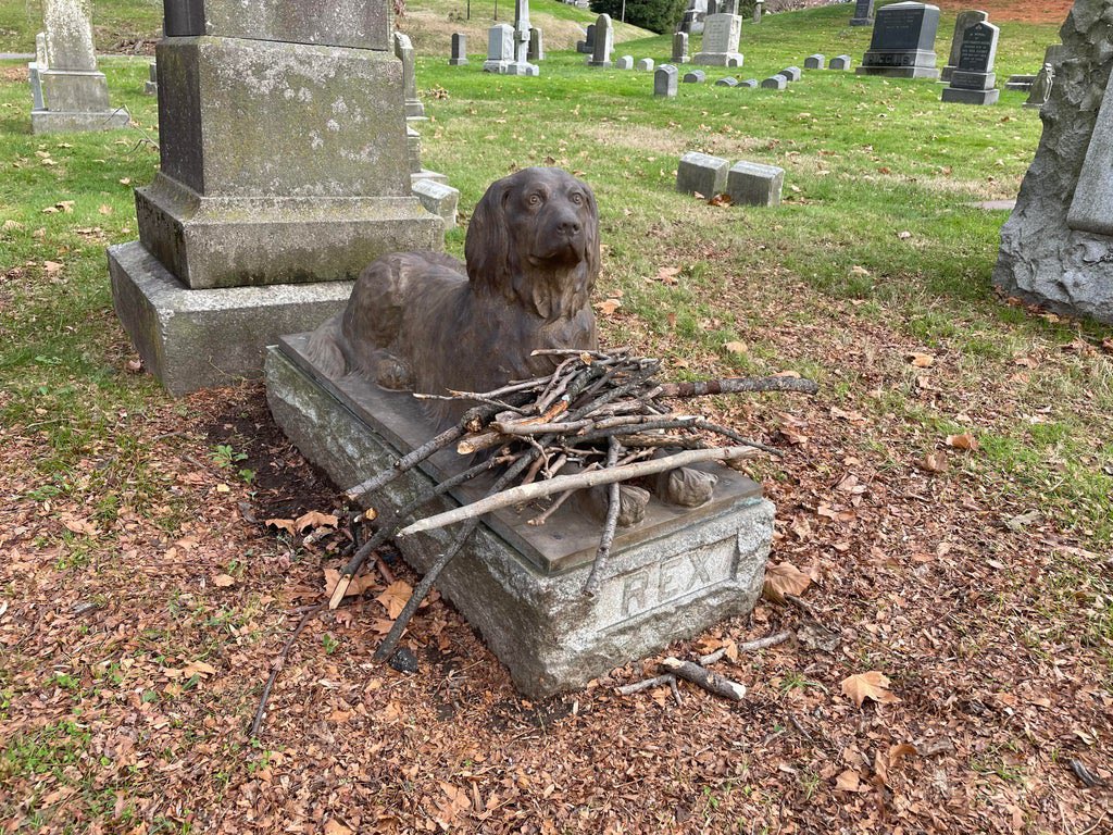 Instead of flowers, people bring sticks to this dog’s grave.