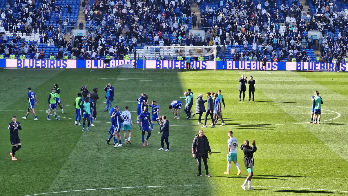 What an amazing, outstanding win with 12 players missing, 3 kids used (who were brilliant), others out of position and deservedly beating Premier League chasing Southampton. You beautiful magnificent Bluebirds sh*tting on Russell Martin. Thank You!