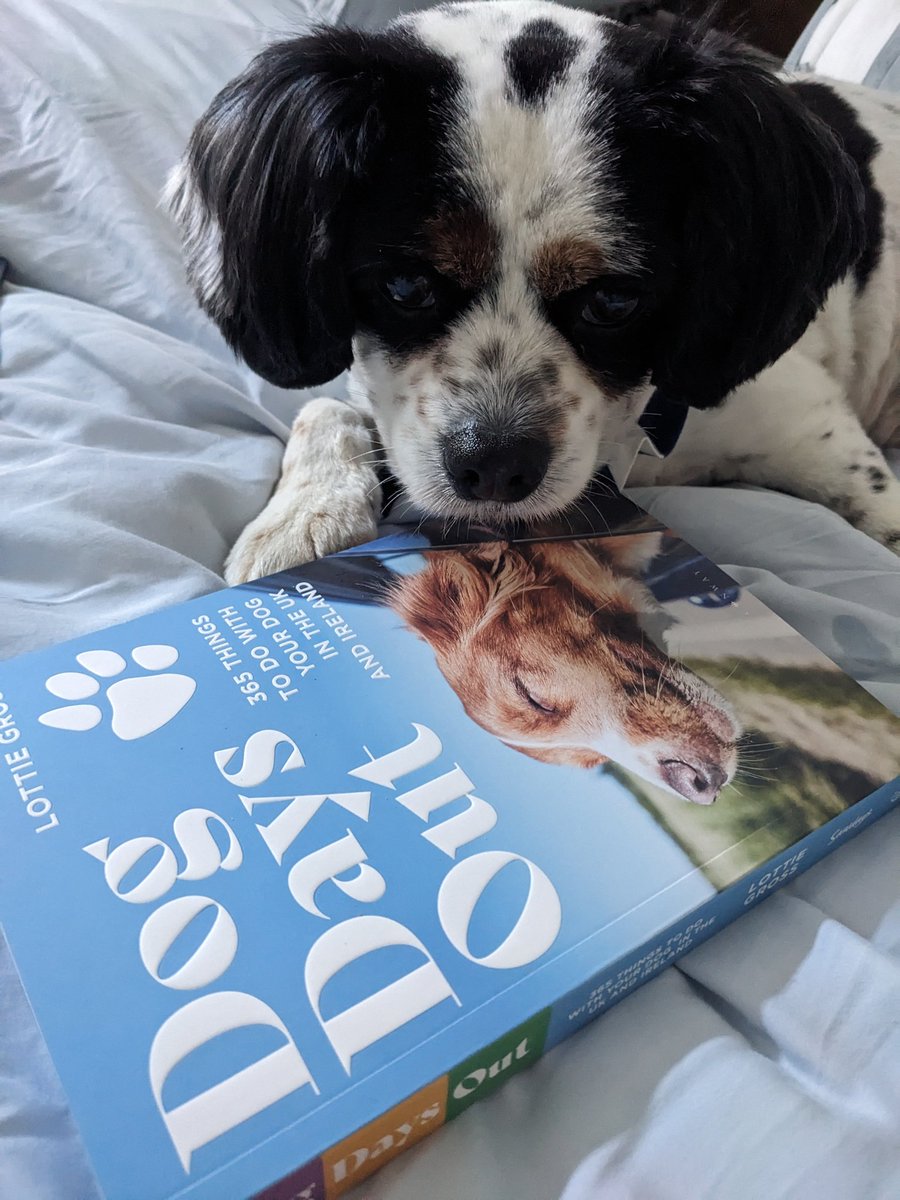 It's here! Well done <a href="/lottiecgross/">Lottie Gross</a> we're so excited for our upcoming adventures 🐾