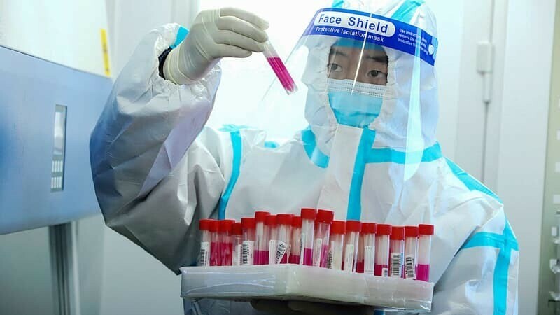 BFMTV's tweet photo. "Menace numéro 1": des scientifiques affirment que la prochaine pandémie sera une grippe
https://t.co/WSbwxTEZQ5 https://t.co/SkkpwFxlka