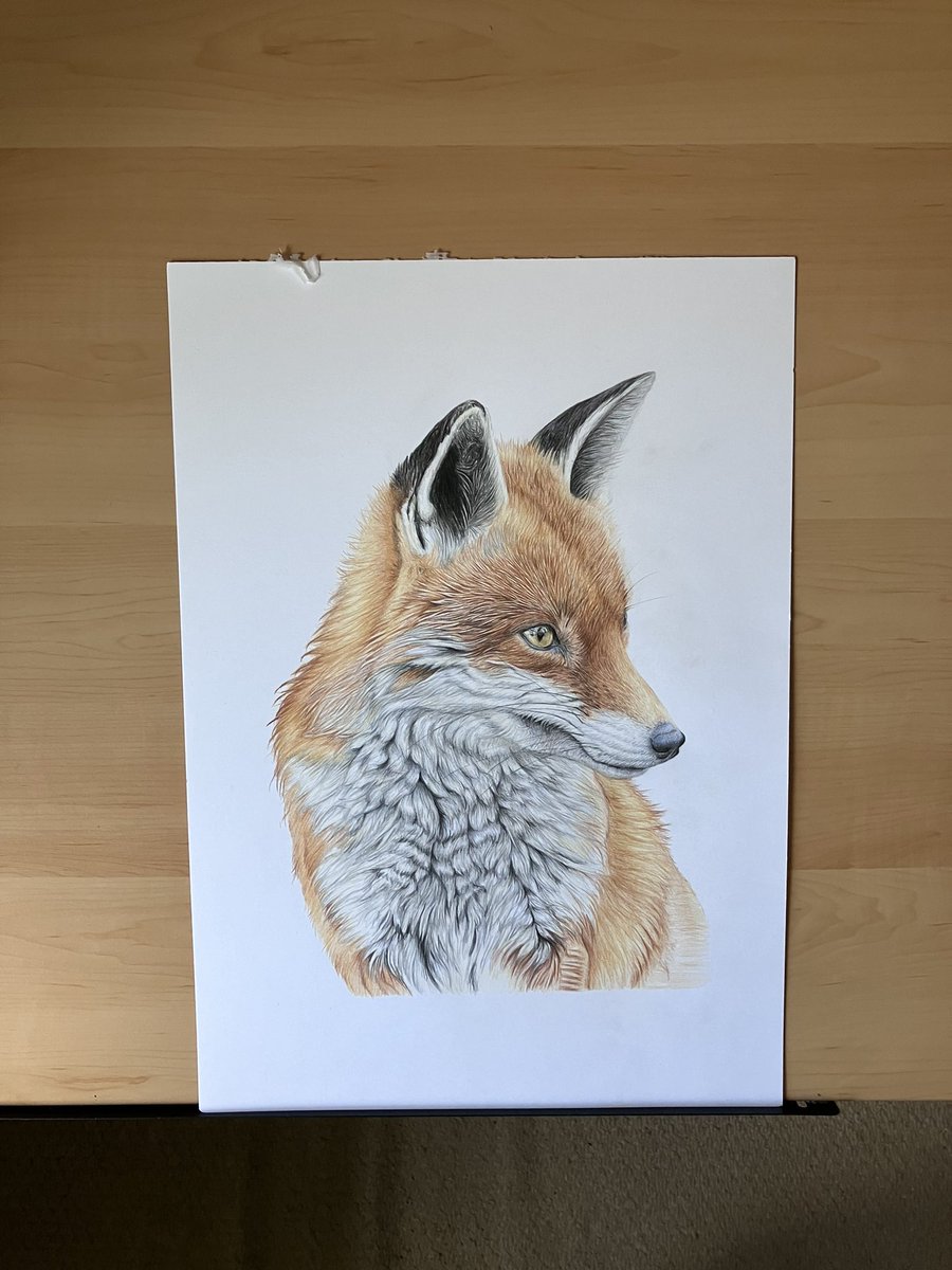 Foxy on my drawing board. Patiently waiting for me. #art #drawing #fox